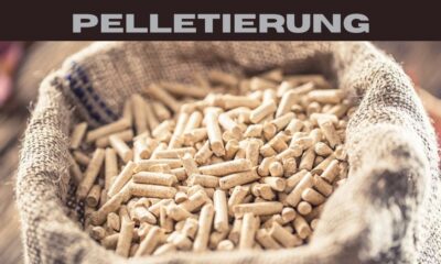 pelletierung